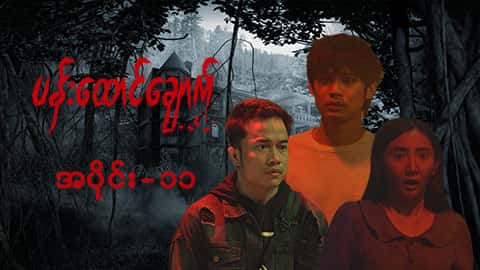 ပန်းထောင်ချောက်-အပိုင်း ၁၁