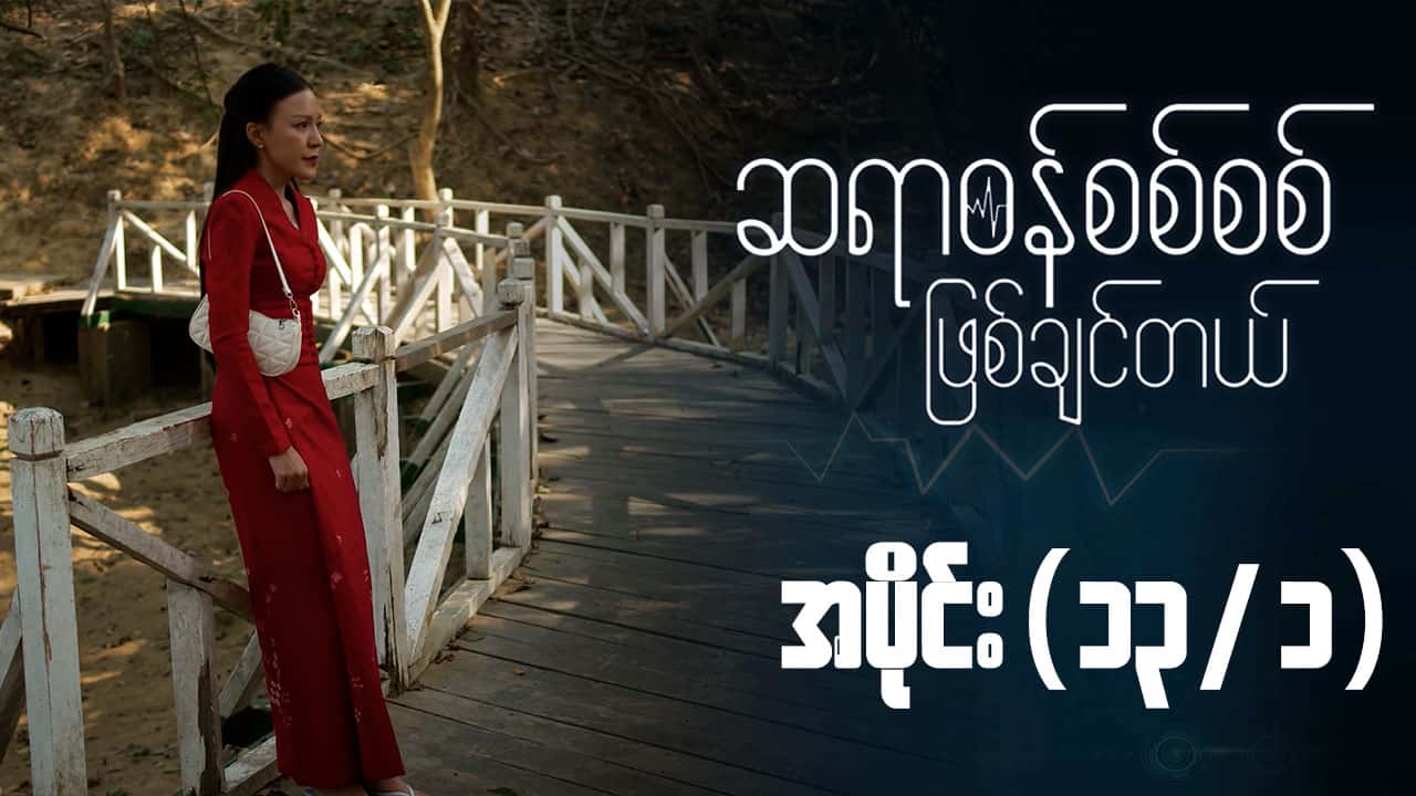 ဆရာဝန်စစ်စစ်ဖြစ်ချင်တယ်-အပိုင်း ၁၃/၁