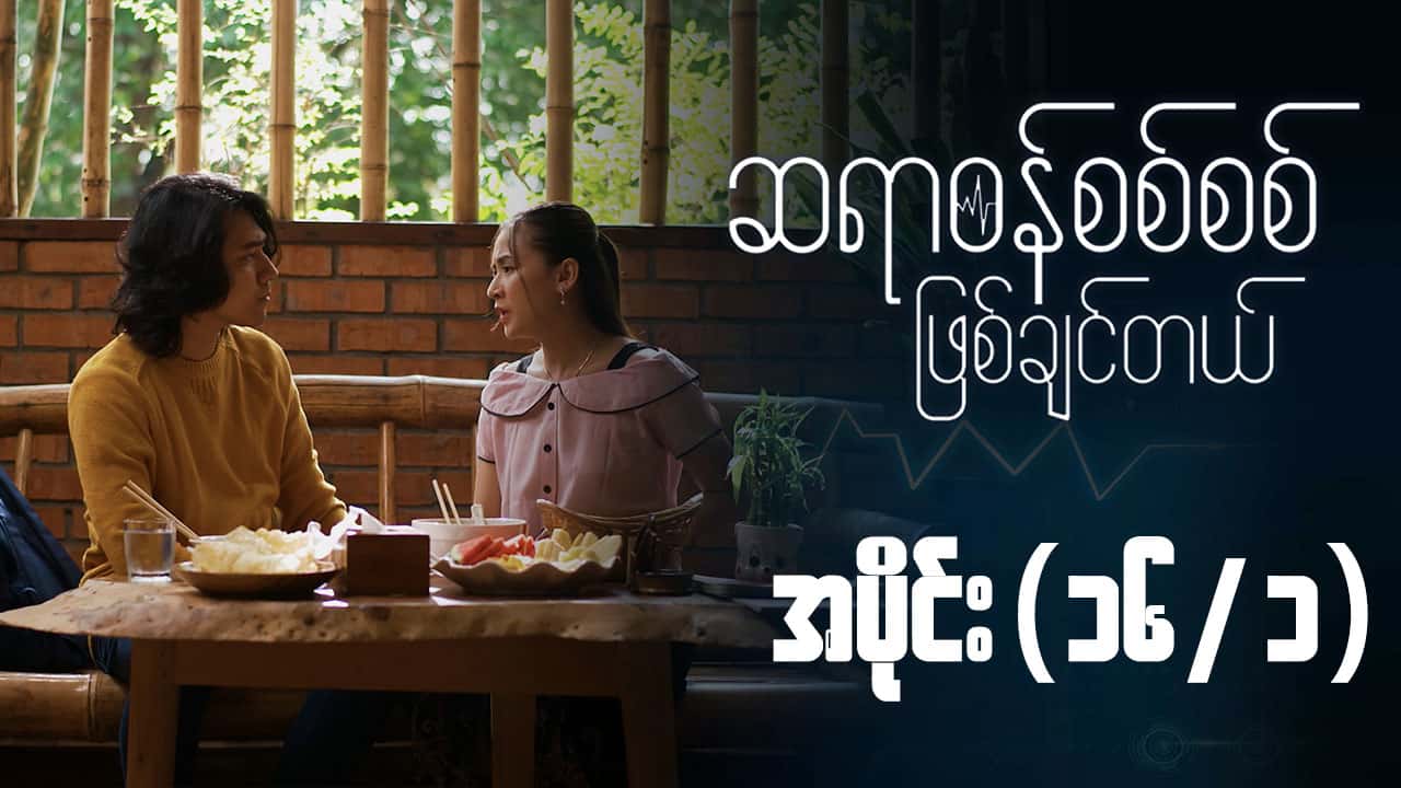 ဆရာဝန်စစ်စစ်ဖြစ်ချင်တယ်-အပိုင်း ၁၆/၁