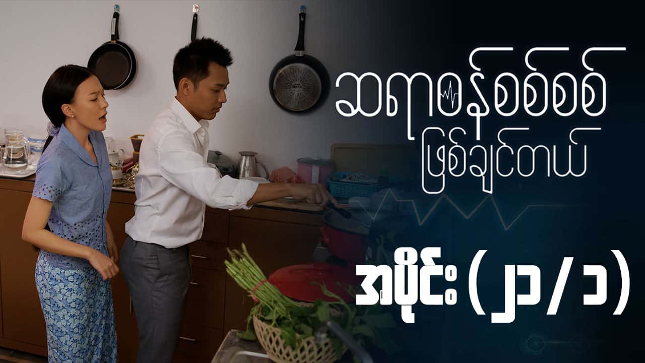 ဆရာဝန်စစ်စစ်ဖြစ်ချင်တယ်-အပိုင်း ၂၁/၁