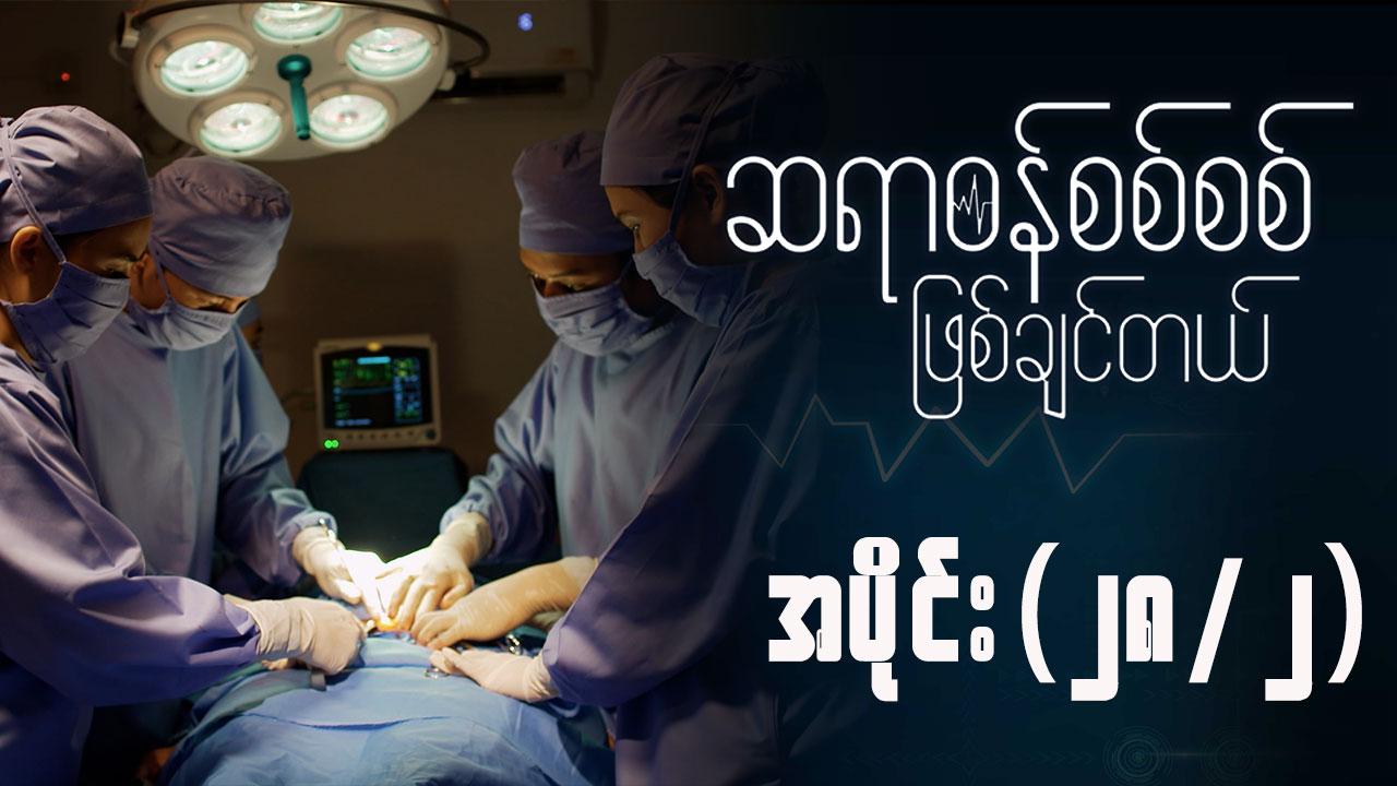 ဆရာဝန်စစ်စစ်ဖြစ်ချင်တယ်-အပိုင်း ၂၈/၂