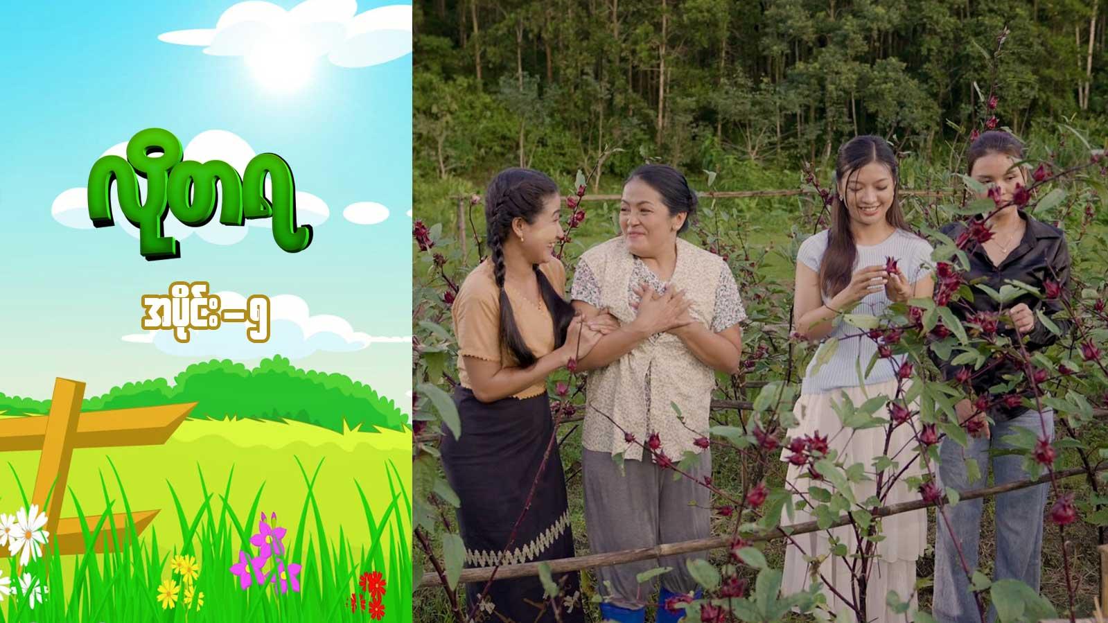 လိုတရ-အပိုင်း ၅