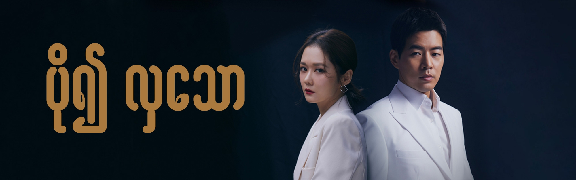 tv-show-banner